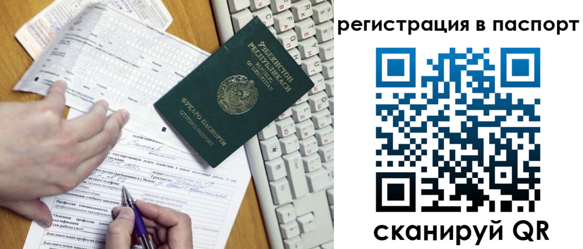 прописка поиск в Невеле